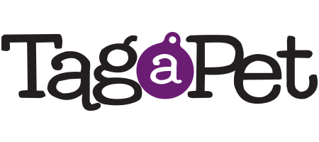 Designer hot sale pet tags