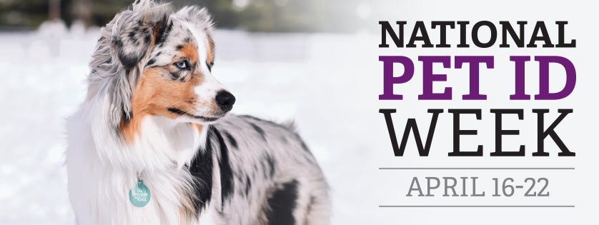 National Pet ID Week | April 2018