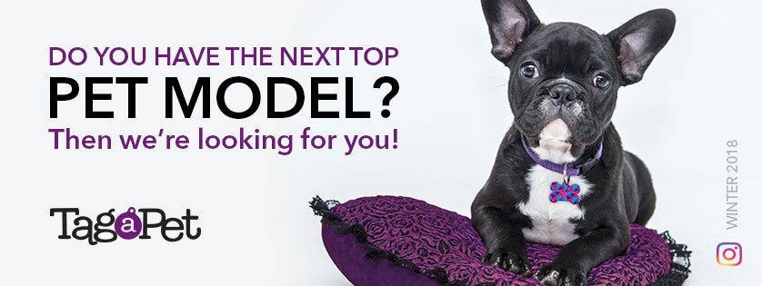 We're looking for our next Top Model!