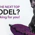 We're looking for our next Top Model!