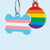 LGBTQ+ Pride Pet Tags - Tag a Pet Collection
