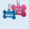 X-Rated Pet Tags - Tag a Pet Collection