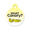 What Canary? Bone Pet ID Tag